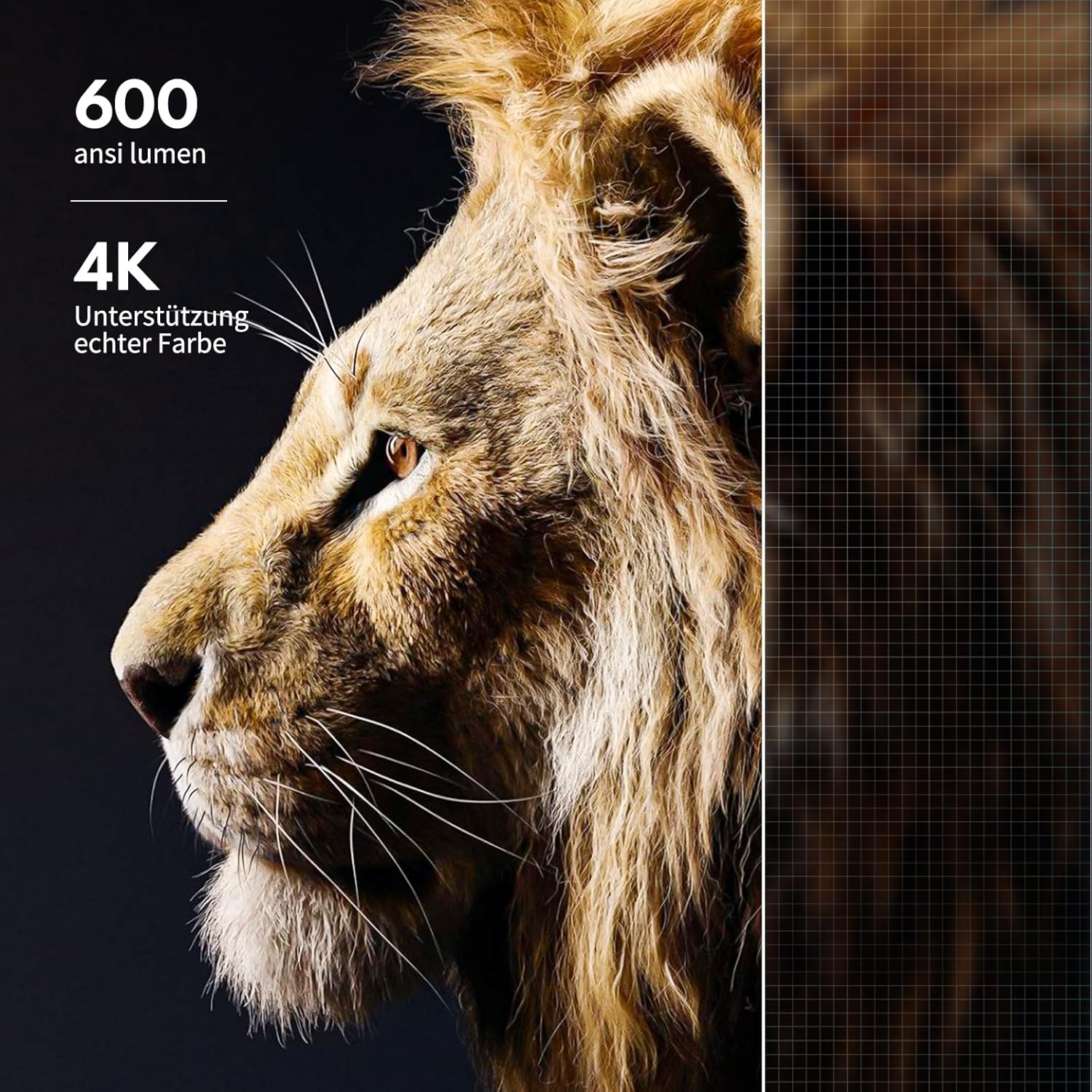 AMEELA YG600 PLUS 2